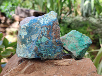 Natural Shattuckite with Chrysocolla and Malachite x 12 From Kaokoveld, Namibia