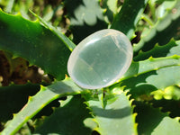 Polished Girasol Pearl Quartz Palm Stones x 24 From Ambatondrazaka, Madagascar