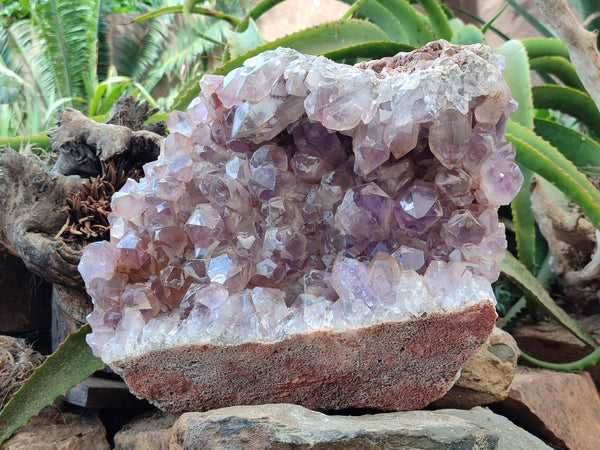 Natural Jacaranda Amethyst Quartz Cluster x 1 From Mumbwa, Zambia