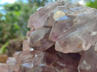 Natural Jacaranda Amethyst Quartz Cluster x 1 From Mumbwa, Zambia