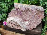 Natural Jacaranda Amethyst Quartz Cluster x 1 From Mumbwa, Zambia