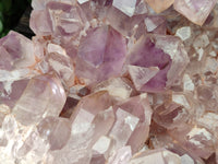 Natural Jacaranda Amethyst Quartz Cluster x 1 From Mumbwa, Zambia