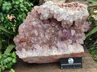 Natural Jacaranda Amethyst Quartz Cluster x 1 From Mumbwa, Zambia