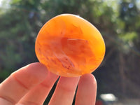 Polished Carnelian Palm Stones x 12 From Madagascar