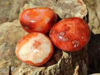 Polished Carnelian Palm Stones x 12 From Madagascar