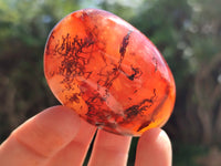 Polished Carnelian Palm Stones x 12 From Madagascar