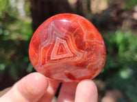 Polished Carnelian Palm Stones x 12 From Madagascar