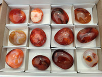 Polished Carnelian Palm Stones x 12 From Madagascar