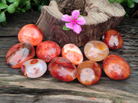 Polished Carnelian Palm Stones x 12 From Madagascar