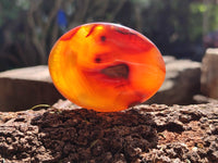 Polished Carnelian Palm Stones x 12 From Madagascar