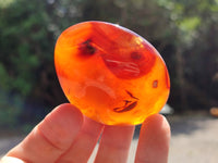 Polished Carnelian Palm Stones x 12 From Madagascar