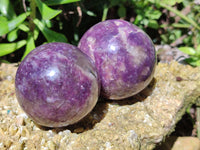 Polished Lepidolite with Pink Rubellite Spheres x 6 From Ambatondrazaka, Madagascar