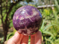 Polished Lepidolite with Pink Rubellite Spheres x 6 From Ambatondrazaka, Madagascar