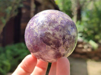 Polished Lepidolite with Pink Rubellite Spheres x 6 From Ambatondrazaka, Madagascar