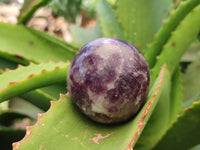 Polished Lepidolite with Pink Rubellite Spheres x 6 From Ambatondrazaka, Madagascar