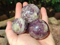 Polished Lepidolite with Pink Rubellite Spheres x 6 From Ambatondrazaka, Madagascar