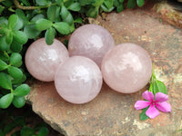 Polished Rose Quartz Spheres x 4 From Ambatondrazaka, Madagascar