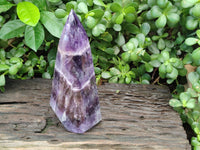 Polished Chevron Amethyst Point x 1 From Zambia