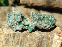 Natural Emerald Mica In Matrix Cobbed Specimens x 35 From Mutoko, Zimbabwe