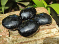 Polished Black Tourmaline Palm Stones x 16 From Madagascar