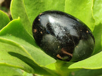 Polished Black Tourmaline Palm Stones x 16 From Madagascar