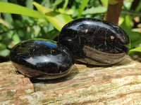 Polished Black Tourmaline Palm Stones x 16 From Madagascar