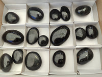 Polished Black Tourmaline Palm Stones x 16 From Madagascar