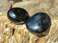 Polished Black Tourmaline Palm Stones x 16 From Madagascar