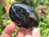 Polished Black Tourmaline Palm Stones x 16 From Madagascar