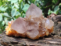 Natural Dark Amethyst Spirit Quartz Clusters x 6 From Boekenhouthoek, South Africa