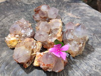 Natural Dark Amethyst Spirit Quartz Clusters x 6 From Boekenhouthoek, South Africa