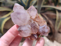 Natural Dark Amethyst Spirit Quartz Clusters x 6 From Boekenhouthoek, South Africa