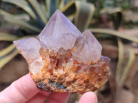 Natural Dark Amethyst Spirit Quartz Clusters x 6 From Boekenhouthoek, South Africa