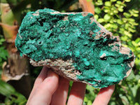 Natural Botryoidal Malachite Specimens x 3 From Tenke Fungurume, Congo