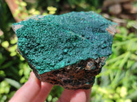 Natural Botryoidal Malachite Specimens x 3 From Tenke Fungurume, Congo