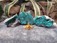 Natural Botryoidal Malachite Specimens x 3 From Tenke Fungurume, Congo