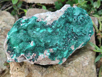 Natural Botryoidal Malachite Specimens x 3 From Tenke Fungurume, Congo