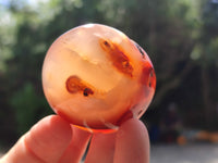 Polished Carnelian Palm Stones x 12 From Madagascar