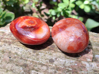 Polished Carnelian Palm Stones x 12 From Madagascar