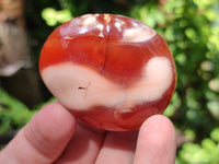 Polished Carnelian Palm Stones x 12 From Madagascar