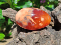 Polished Carnelian Palm Stones x 12 From Madagascar