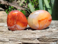 Polished Carnelian Palm Stones x 12 From Madagascar