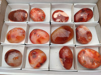 Polished Carnelian Palm Stones x 12 From Madagascar