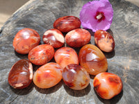 Polished Carnelian Palm Stones x 12 From Madagascar