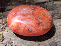 Polished Carnelian Palm Stones x 12 From Madagascar