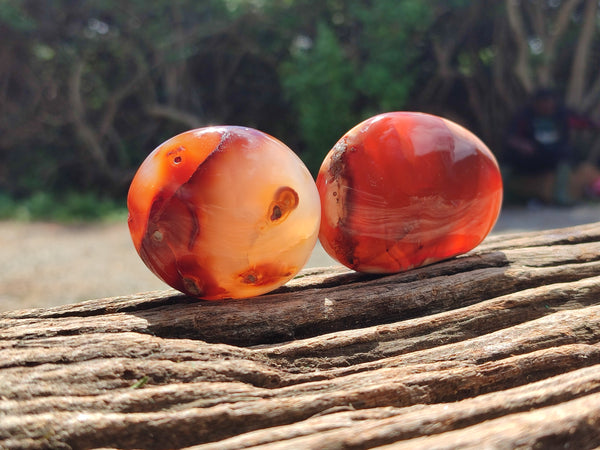 Polished Carnelian Palm Stones x 12 From Madagascar