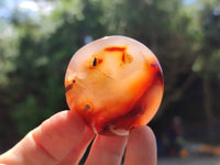 Polished Carnelian Palm Stones x 12 From Madagascar