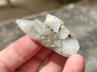 Natural Drusy Quartz Coated Calcite Pseudomorph Crystals x 70 From Lesotho