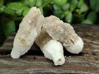 Natural Drusy Quartz Coated Calcite Pseudomorph Crystals x 70 From Lesotho