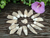 Natural Drusy Quartz Coated Calcite Pseudomorph Crystals x 70 From Lesotho